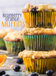 Blueberry Orange Muffins Semi-Exclusive Set 4