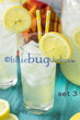 Hard Lemonade Semi-Exclusive Set 3 (PLUS BONUS SHARED LEMON SIMPLE SYRUP RECIPE)